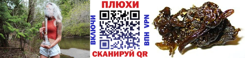 дарнет шоп  Касли  ГАШ гашик 