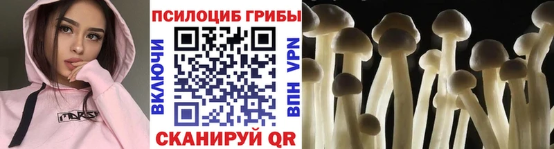 Галлюциногенные грибы ЛСД  Касли 